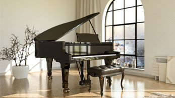 Assurance Instrument de musique